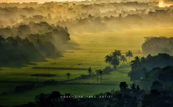 Mengungkap Pesona Alam TWA Gunung Selok: Destinasi Konservasi Terbaik Cilacap